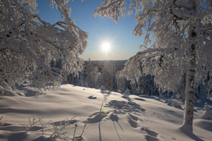 God Jul & Gott Nytt År!