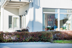 Nya branschkoder- SNI 2025