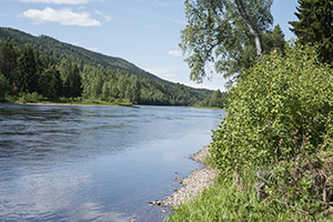 Trevlig sommar